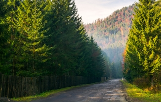 road leading into mountains in distance