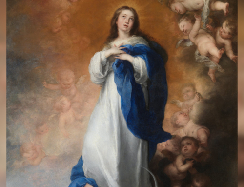 Mary—the Immaculate Conception—is Patroness of the united states